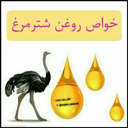 👌 روغن شتر مرغ