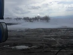 از خوشگلیای جاده