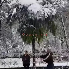 🎥 وقتی با شوهرش  میره برف بازی و 