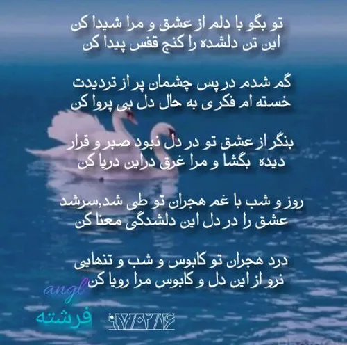 شعر