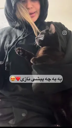 گی خوار سگ🤣