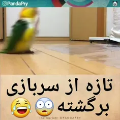 عوارض سربازی رفتنه😂😂😂