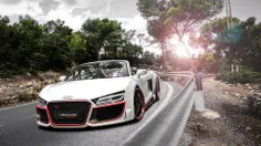 Audi R8 Spuder "Tu"