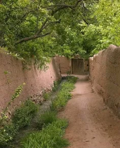 کی بیداره