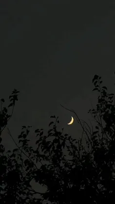 ماه روشنی‌اش را در سراسر آسمان می‌پراکَنَد و لکه های سیاه