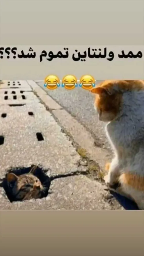 خدایی تمام شد بیام بیرون 😂 😂 😂 امدم