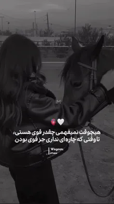 ممنونم بابت حمایت هاتون✨️🌿