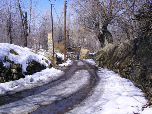 ❄ ️به شقایق سوگند که تو بر خواهی گشت ،