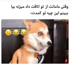 از اینکه عزازیل هم بیاد بالا سرت ترسناک تره😂🤐🤐🤐