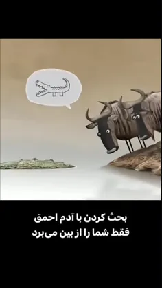 بحث کردن با آدم احمق فقط شما رو از بین میبره....