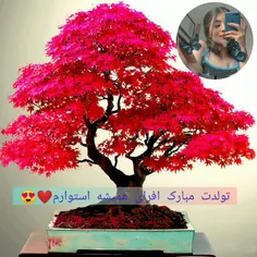 محبوبِ دلم میلادت پرنور🎉🎈 https://wisgoon.com/A.f_r.A