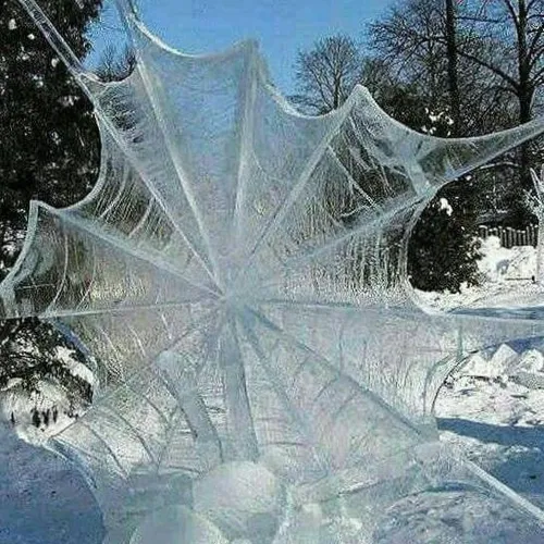 تصویری زیبا از تار عنکبوت یخ زده در روسیه