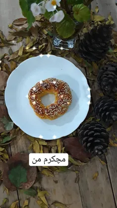 خوشمزه های دلبر😊