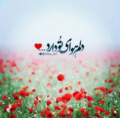 نام تو آرامش قلب همه 