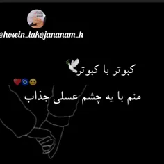 🍃♥️ @hosein_lak ♥️🍃