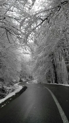 روستای کچید