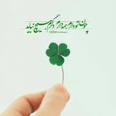 💌به‌سوی امام زمانتان حرکت کنید. 