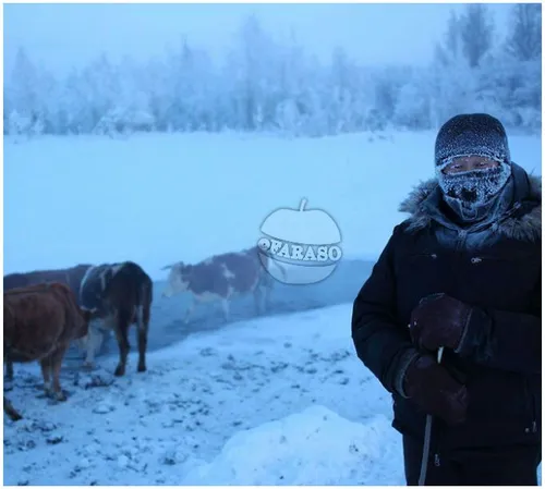 روستای اویمیاکن «oymyakon» روستایی در روسیه و کاندید سردت