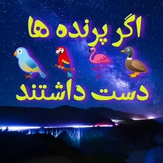 اگه پرنده ها دست داشتن... 