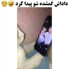 این پیشی هم عاشقه شوگا عه🤣