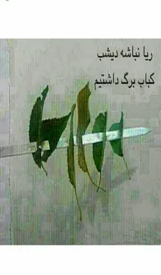 خاستم ریا نشه ولی جاتون خیلی خالی بود..!!!!!!