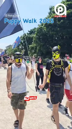 🔴 انسان یا سگ‌نما؟