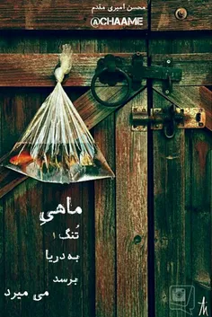 بی خیالش بشو ای ذهن خیالاتی من 