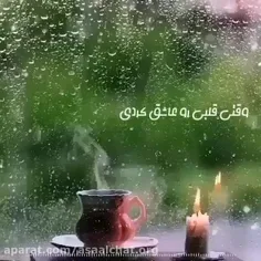 تا حالا شده از درون گربه کنی ولی از چشمات اشکی نیاد