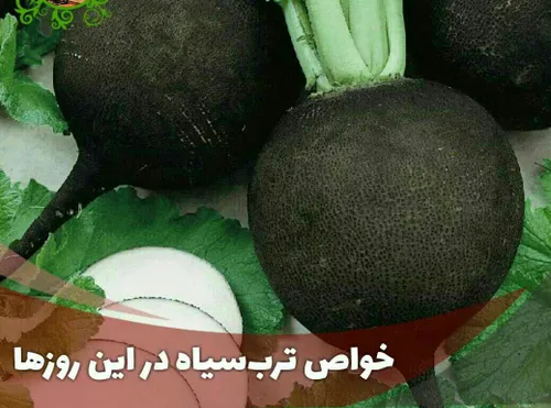 چطوری 3 روزه سرفه رو قطع کنیم ؟🤔