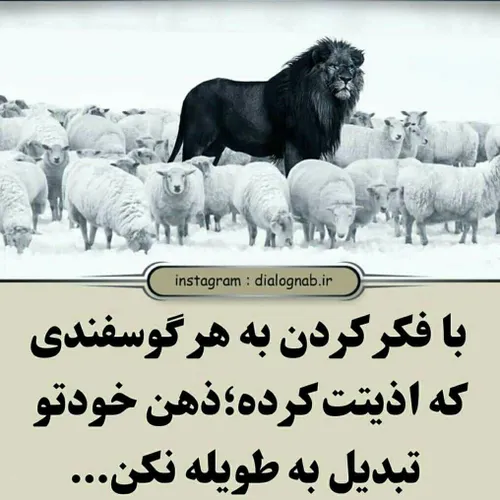 به جای فکر کردن به نخواستن ها ، نشدن ها و قضاوت کردن ها ؛