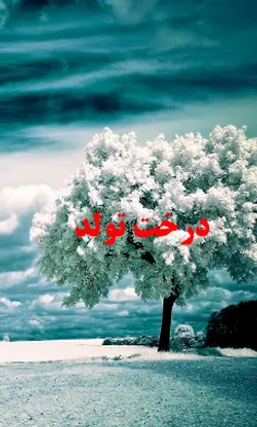 درخت روز تولد خود را ببینید. ﺑﻌﺪ ﺭﻭﻱ ﺩﺭﺧﺖ ﻣﺮﺑﻮﻃﻪ ﻛﻠﻴﺪ ﻛﻨﻴ