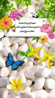 الهی که امروز 