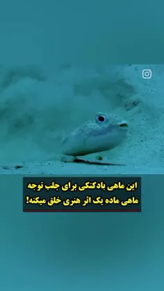 فرهاد ماهی