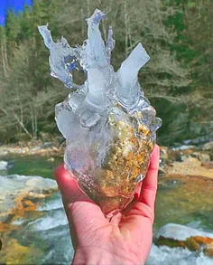 قلب یخی