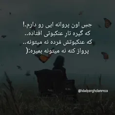 🙃💔🕸🕳همین قدر غمگین