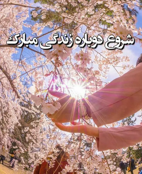 ‍ نوروز هم به پایان رسید 🌸 🍃