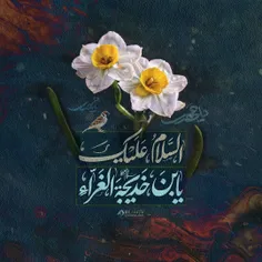 ام المومنین...(ع)