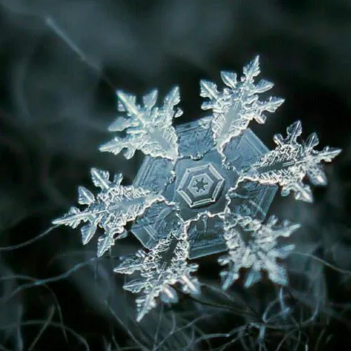 تصاویری شگفت انگیز از کریستال های برف «Alexey Kljatov»، ه