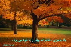 * باد پاییزی ، خاطرات بهار را با خود می برد . 