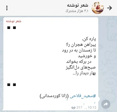 سعید فلاحی (زانا کوردستانی)