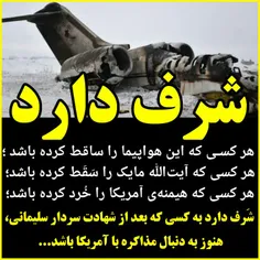 ⭕ ️ هر کسی که این هواپیما را ساقط کرده باشد ؛