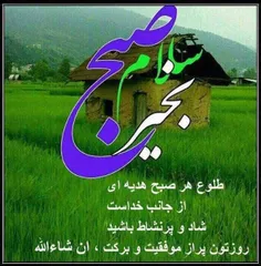 طبیعت farhankodajoo 28334011