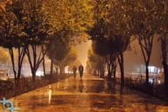 بالا خره ديشب  اولين باران پاييزي در اصفهان باريد ...هوا 