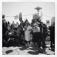 Defenders of animal rights hold a protest in front of the