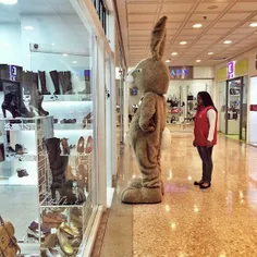 #Conejo en el Centro Comercial Andino. #Bogotá #Colombia 