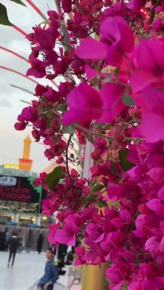 اربابم_حسینــــــــــ【ع】