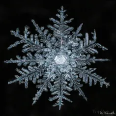 تصاویری شگفت‌انگیز از کریستال‌های #برف «Alexey Kljatov»، 