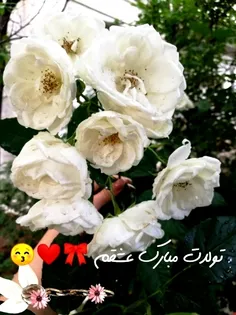 تولدت خیلی مبارکمون یاسمین عزیزم @yasamin.73 