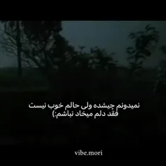 فقط دلم نمی خواد نباشم:)