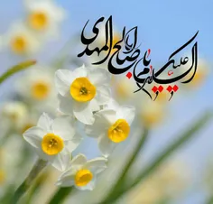 خـبـر آمـد خبـری نیـست...